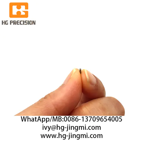 Precision Pivot Pin, ID:0.2+/-0.005mm